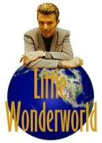 Little Wonderworld
