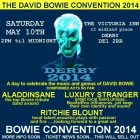 David Bowie UK Convention 2014