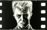 Bowie close up