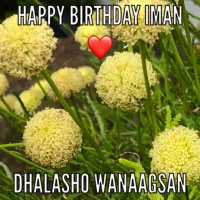 Happy Birthday Iman